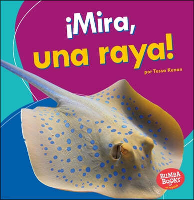 ¡Mira, Una Raya! (Look, a Ray!)