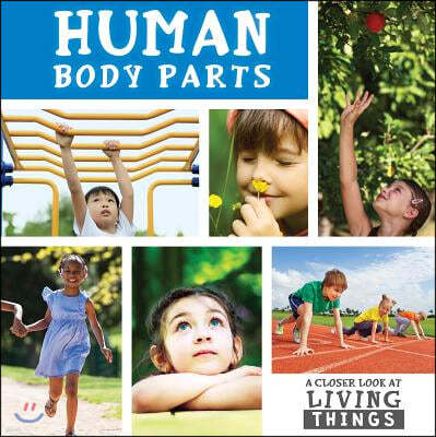 Human Body Parts