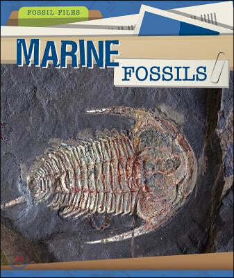 Marine Fossils