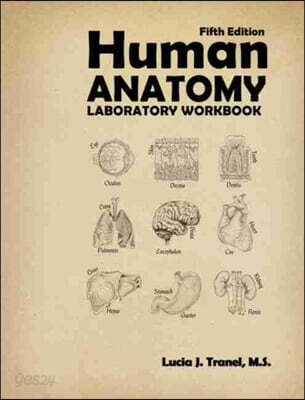 Human Anatomy