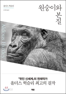 원숭이와 본질