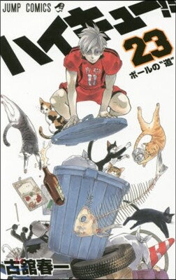 ハイキュ-!! 23