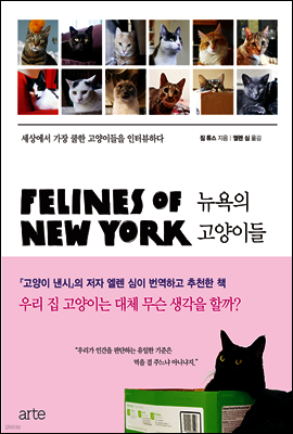 뉴욕의 고양이들
