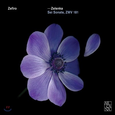 Zefiro 젤렌카: 여섯 개의 트리오 소나타 (Zelenka: Trio Sonatas Nos.1-6 - Sei Sonate, ZWV181) 제피로 앙상블