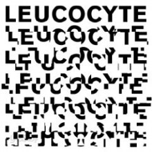 Esbjorn Svensson Trio - Leucocyte