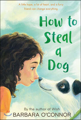 How to Steal a Dog