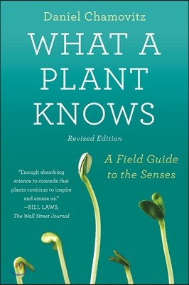 What a Plant Knows: A Field Guide to the Senses: Updated and Expanded Edition