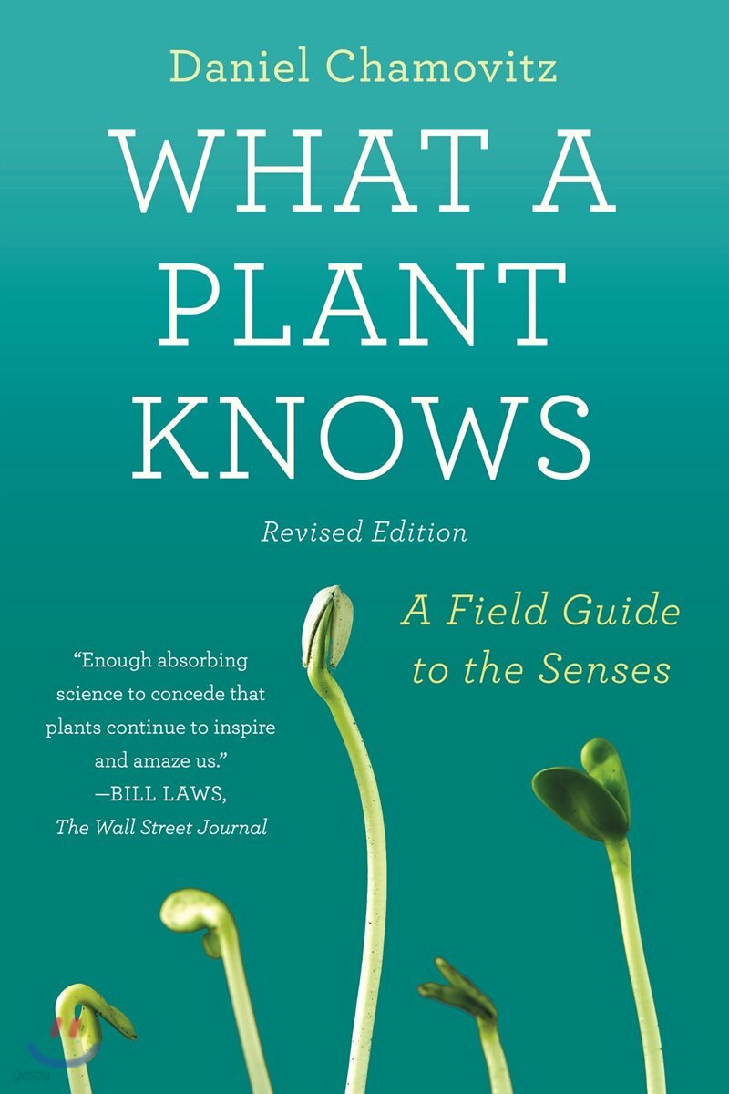 What a Plant Knows: A Field Guide to the Senses: Updated and Expanded Edition