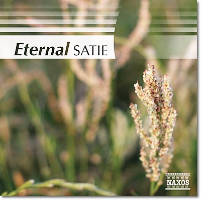  Ƽ ǰ -   (Eternal Satie)