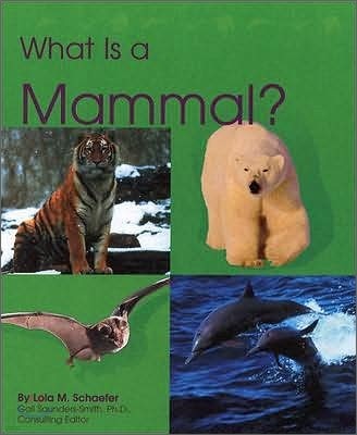 What Is a Mammal?