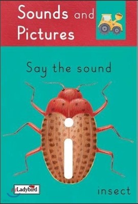 Sounds and Pictures Say the sound i