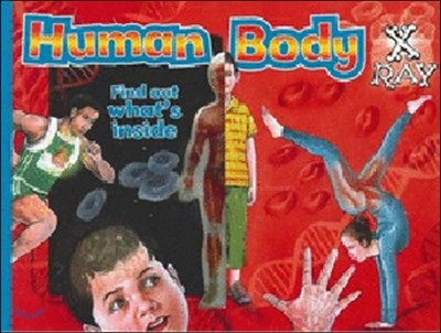 Human Body X Ray : Find out what's inside