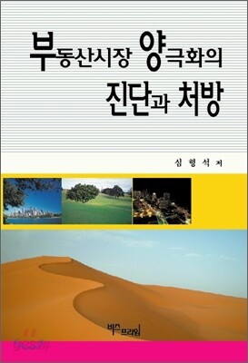 부동산시장 양극화의 진단과 처방