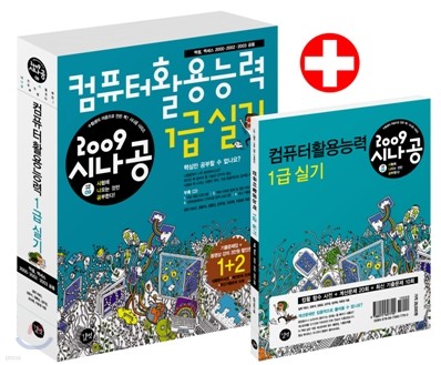 2009 시나공 컴퓨터활용능력 1급 실기