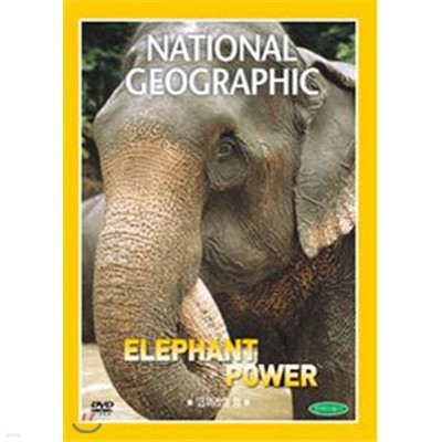 ڳ  (Elephant Power) ų׷ DVD