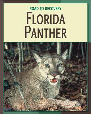 Cherry Lake Pub Florida Panther
