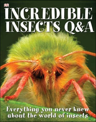 Incredible Insects Q & A