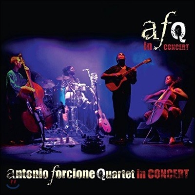 Antonio Forcione - In Concert [PAL 방식 DVD]