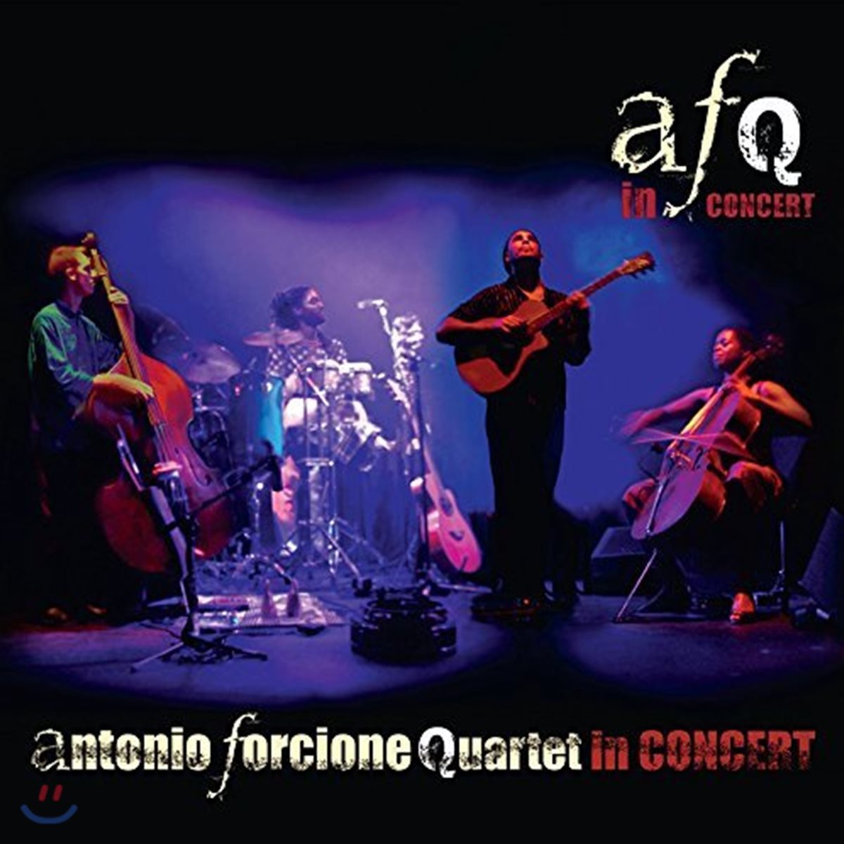 Antonio Forcione - In Concert [PAL 방식 DVD]