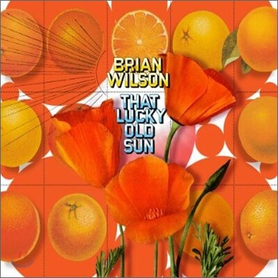 Brian Wilson - That Lucky Old Sun