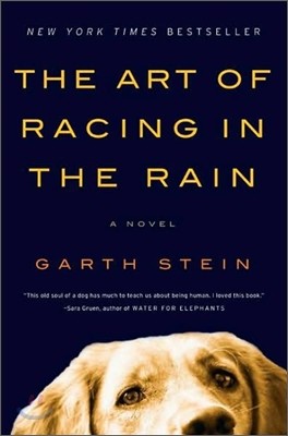 The Art of Racing in the Rain