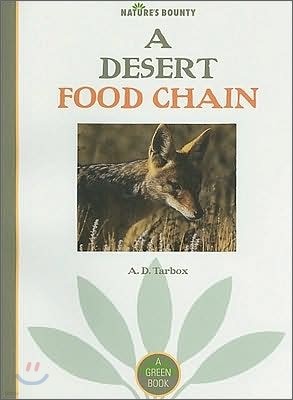 A Desert Food Chain