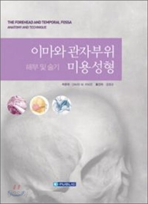 이마와 관자부위 미용성형