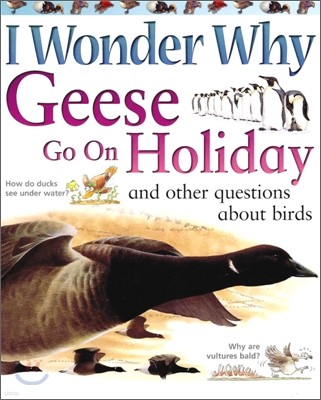 I Wonder Why #03 : Geese Go On Holiday