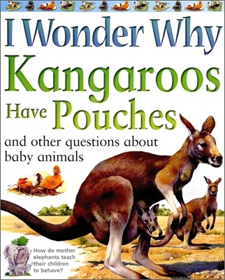 I Wonder Why #05 : Kangaroos Have Pouches
