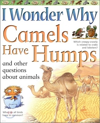I Wonder Why #20 : Camels Have Humps