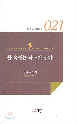 돌 속에는 파도가 산다