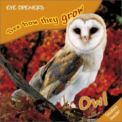 Eye Openers See How They Grow : Owl