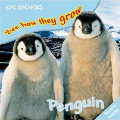 Eye Openers See How They Grow : Penguin