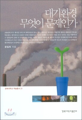 대기환경 무엇이 문제인가