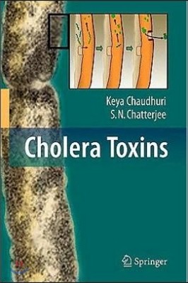 Cholera Toxins