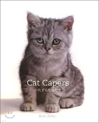 Cat Capers ު