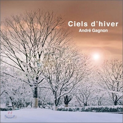 Andre Gagnon - Ciels D'hiver