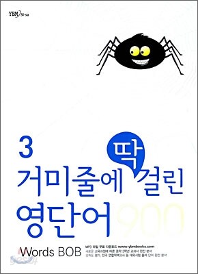 거미줄에 딱 걸린 영단어 3 900