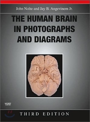 The Human Brain in Photographs & Diagrams, 3/E