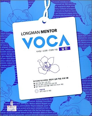 Longman Mentor VOCA 실전 외국어영역