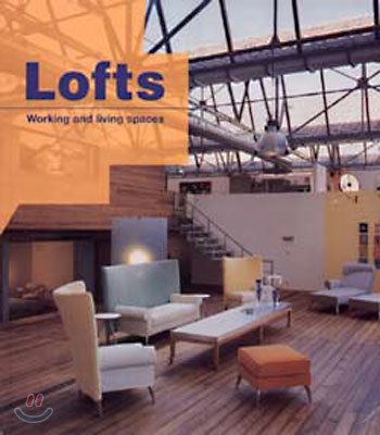Lofts Working and Iiving spaces
