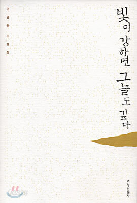 빛이 강하면 그늘도 깊다