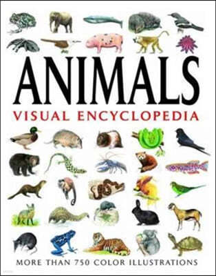 Animals Visual Encyclopedia