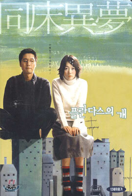 플란다스의 개