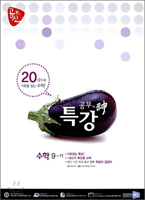 공부의 신 특강수학 중 9-가 (2009년)