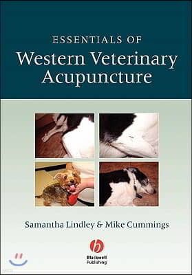 Essentials Western Vet Acupuncture