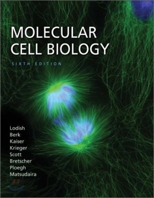 Molecular Cell Biology, 6/E