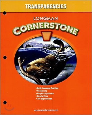 Longman Cornerstone Level B : Transparencies