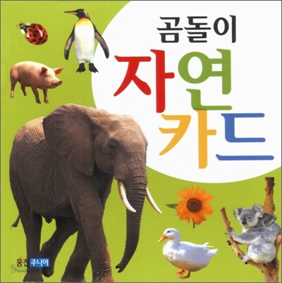 곰돌이 자연카드