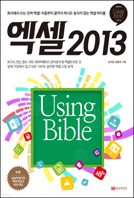 엑셀 2013 Using Bible